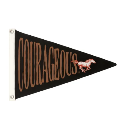 Pennant Flag - North Coast Women's Conference